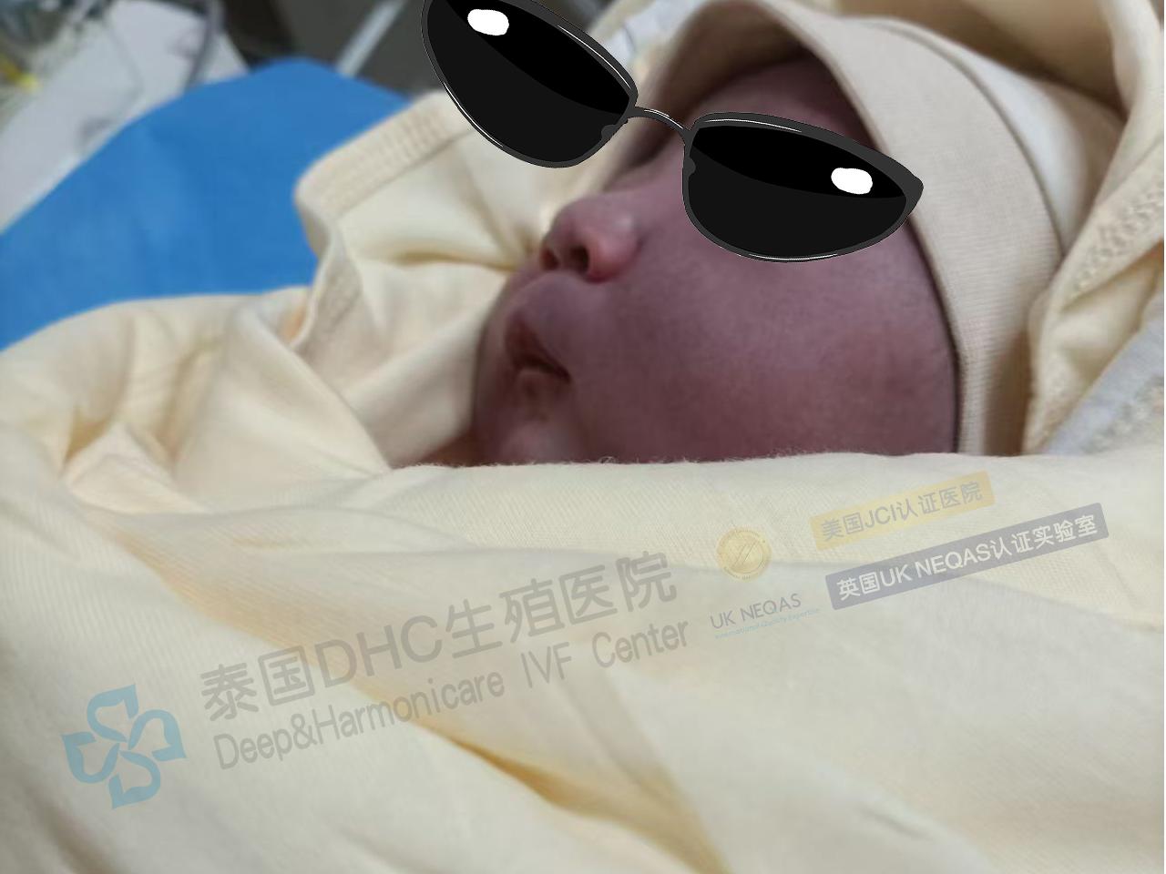 泰國(guó)DHC每日好孕故事0630