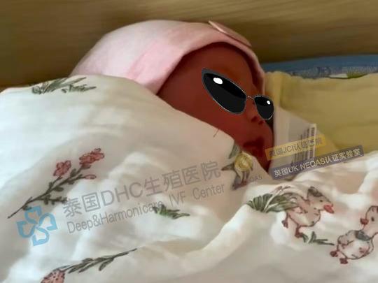 泰國(guó)DHC每日好孕播報(bào)0728