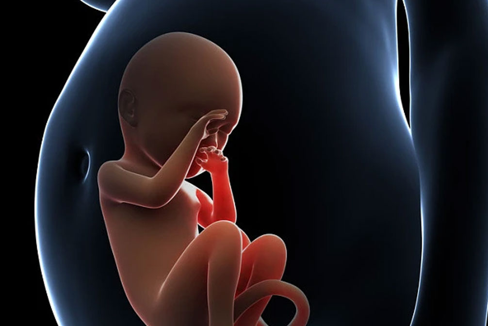 子宮腺肌癥能做試管嬰兒嗎？子宮腺肌癥做試管嬰兒成功率