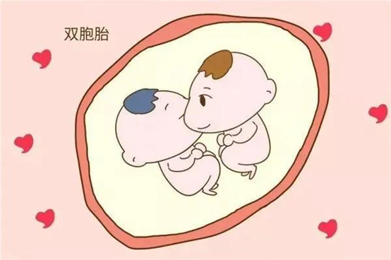 做泰國試管嬰兒雙胞胎的風(fēng)險(xiǎn)大嗎?