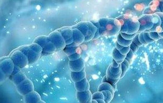 第三代泰國試管技術(shù)有什么效果移植過后有不適怎么辦？