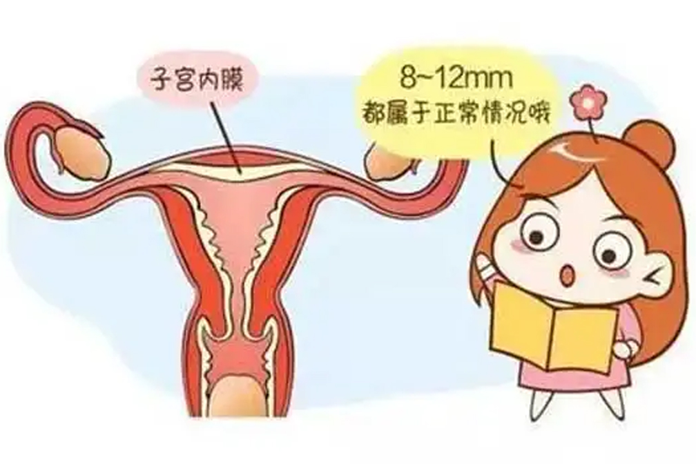 試管移植后怎么做才能增加試管成功率呢？