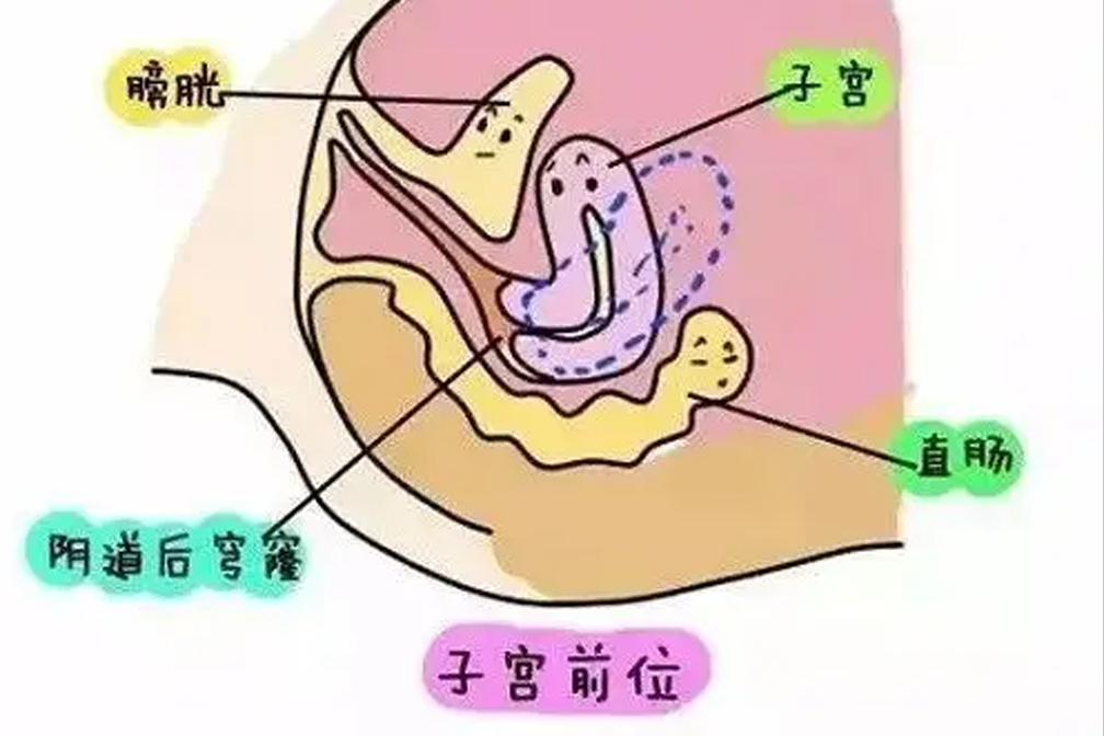 卵泡發(fā)育不成熟，泰國(guó)試管嬰兒促排卵能解決嗎？