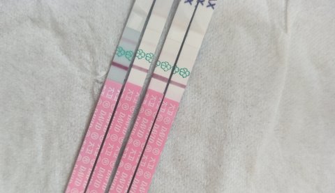 排卵試紙強(qiáng)陽(yáng)是排卵了還是沒(méi)排？排卵試紙強(qiáng)陽(yáng)后多久排卵？