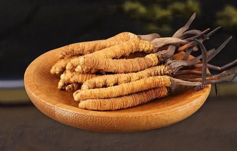 冬蟲(chóng)夏草對(duì)備孕有幫助嗎？冬蟲(chóng)夏草對(duì)女性的功效與作用