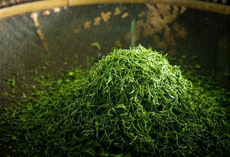 經(jīng)常喝綠茶會怎么樣？長期喝綠茶的好處與功效