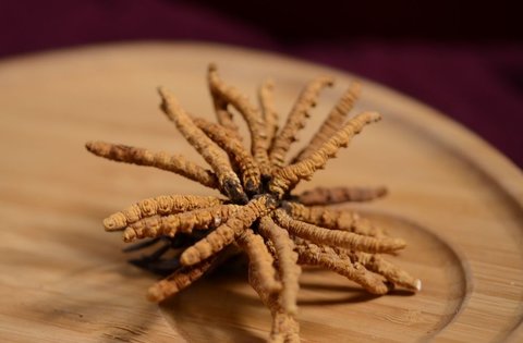 金蟲草怎么吃法最好吃？金蟲草的正確吃法及用量