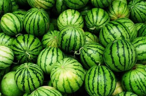 西瓜是堿性還是酸性食物？西瓜的食物性質(zhì)有哪些？