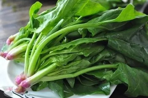孕婦不能吃哪些蔬菜？孕婦禁止吃的12種蔬菜