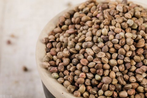火麻仁怎么吃治便秘？火麻仁的功效作用與主治