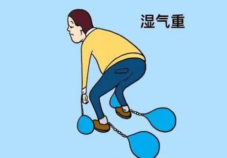 濕氣重代謝慢肥胖怎么調(diào)理？濕氣重怎么減肥效果最好？