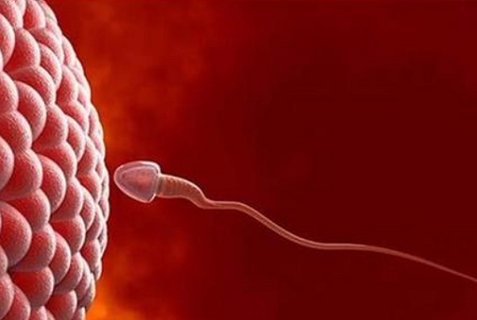 無精癥能不能做試管嬰兒？無精癥怎么做試管嬰兒？