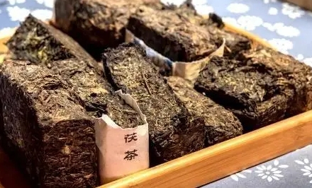 涇陽茯茶有什么功效？涇陽茯茶的功效與作用