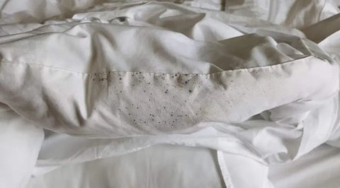 用發(fā)霉了的被子會怎么樣？被子發(fā)霉睡了會得啥??？