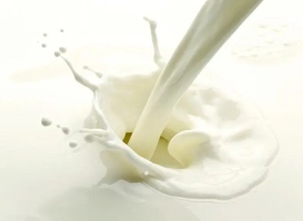 把純牛奶當(dāng)水喝會怎樣？牛奶當(dāng)水喝有什么壞處？
