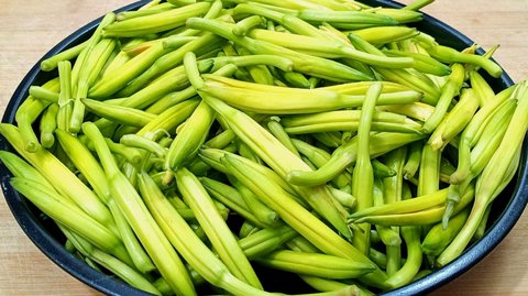 新鮮黃花菜怎么處理才能吃？新鮮黃花菜的處理方法和做法