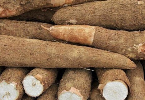 木薯怎么煮才沒(méi)有毒？新鮮木薯的正確吃法
