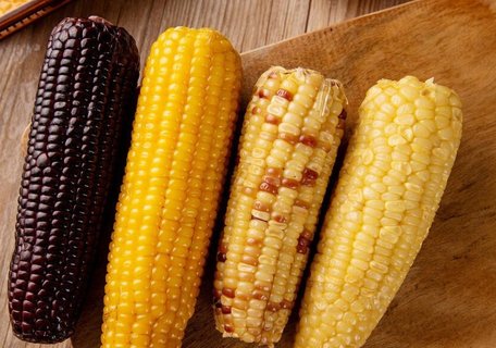 糯玉米和甜玉米有什么不同？糯玉米和甜玉米的區(qū)別
