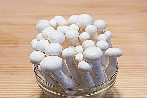 白玉菇和海鮮菇哪個好一些？白玉菇和海鮮菇的區(qū)別