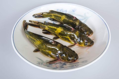 吃昂刺魚不能吃什么？吃昂刺魚的禁忌
