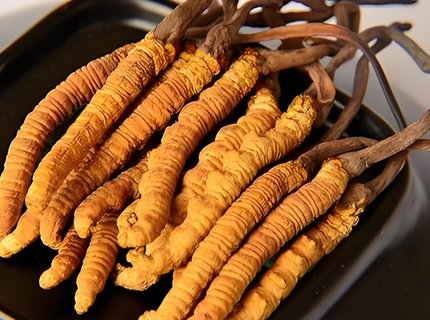 冬蟲夏草吃了對身體有什么好處？冬蟲夏草的功效與作用及食用方法