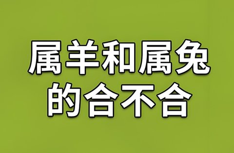 什么屬相的夫妻相克？夫妻相克表的12生肖配對表