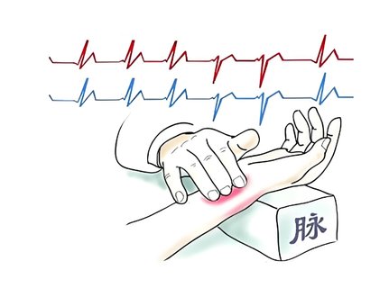 脈象分為哪幾種：中醫(yī)脈診的基礎(chǔ)知識(shí)