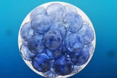 美國(guó)凍卵費(fèi)用大約多少？美國(guó)凍卵的價(jià)格