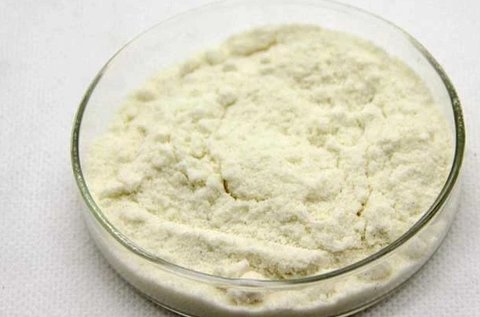 蜂王漿凍干粉對身體好嗎？蜂王漿凍干粉的作用與功效