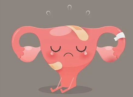 卵巢早衰吃什么可以補(bǔ)回來？卵巢早衰必吃的食物
