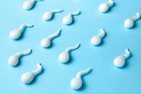 精子畸形率高可以治療嗎？改善精子質(zhì)量的方法