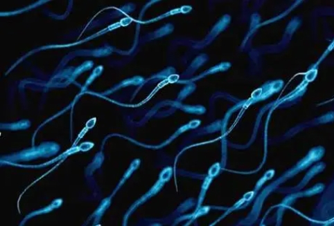 精子畸形率高能做試管嬰兒嗎？畸精癥做試管成功率
