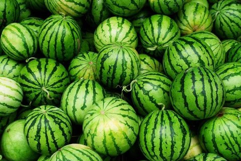 哪些食物不能和西瓜一起吃？不建議和西瓜一起吃的食物