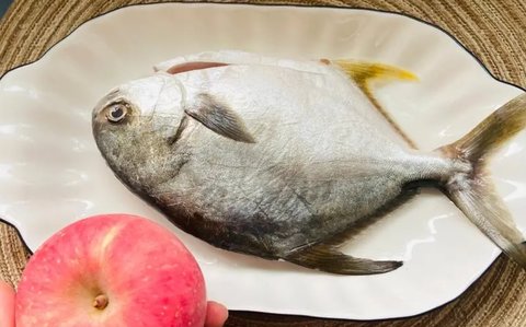 金鯧魚為何要少吃？金鯧魚不能多吃的原因