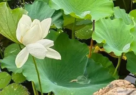 夏天這7種病或是省出來！夏天切不可瞎省錢