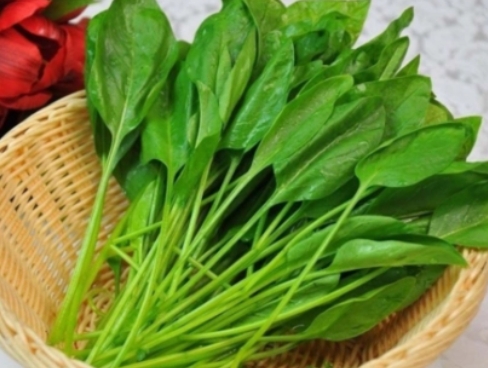 哪些蔬菜含維生素多？維生素高的蔬菜排名