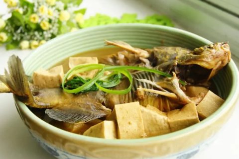 魚和什么菜搭配最好吃？和魚搭配的食材