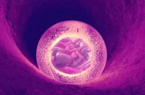試管取了6個卵泡成功率大嗎？六個卵泡的試管成功率