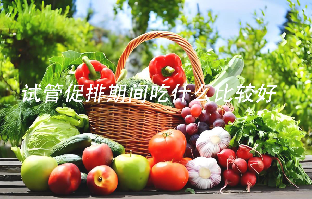 試管促排期，吃什么讓卵泡長得好？