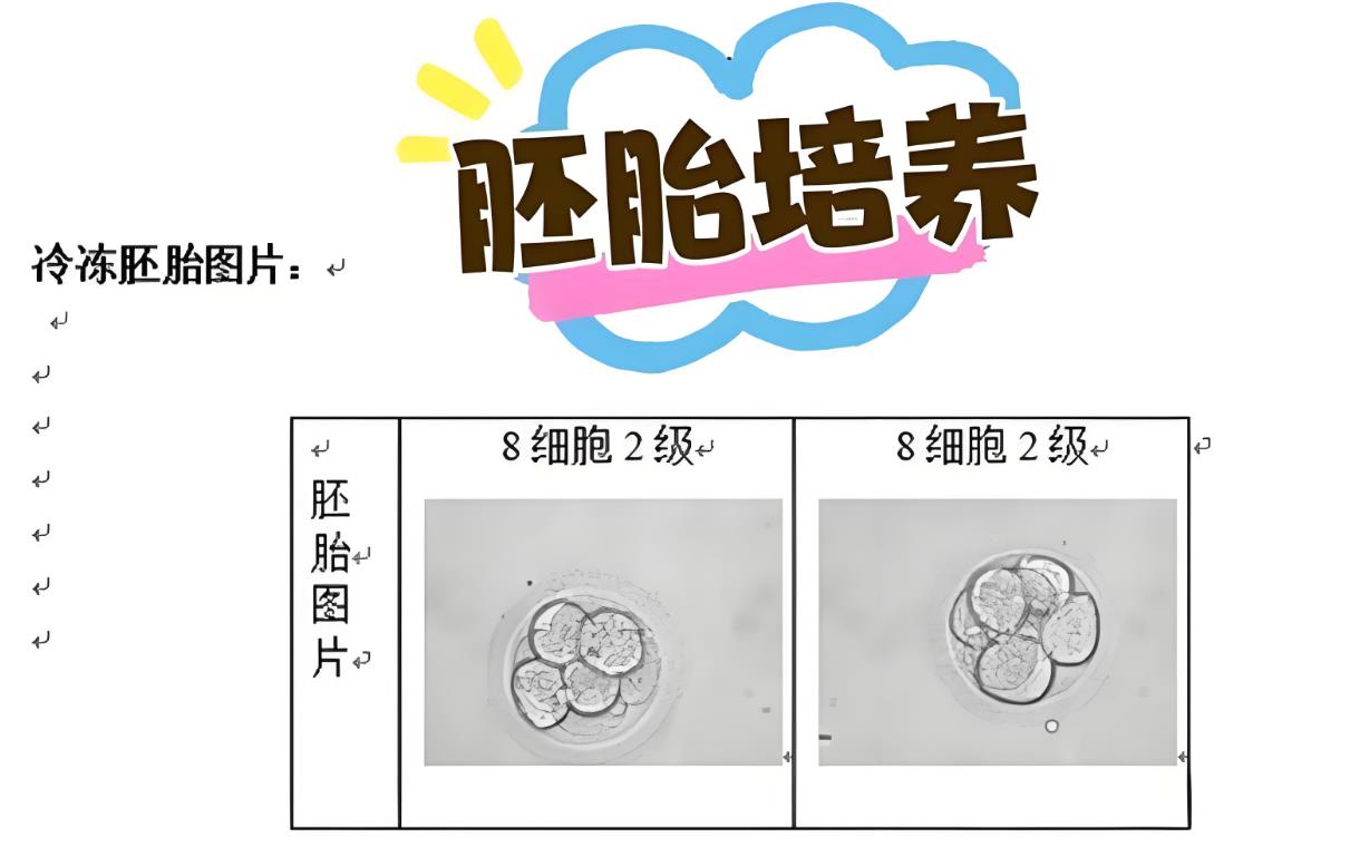泰國試管胚胎培養(yǎng)和囊胚培養(yǎng)要分別收費(fèi)？