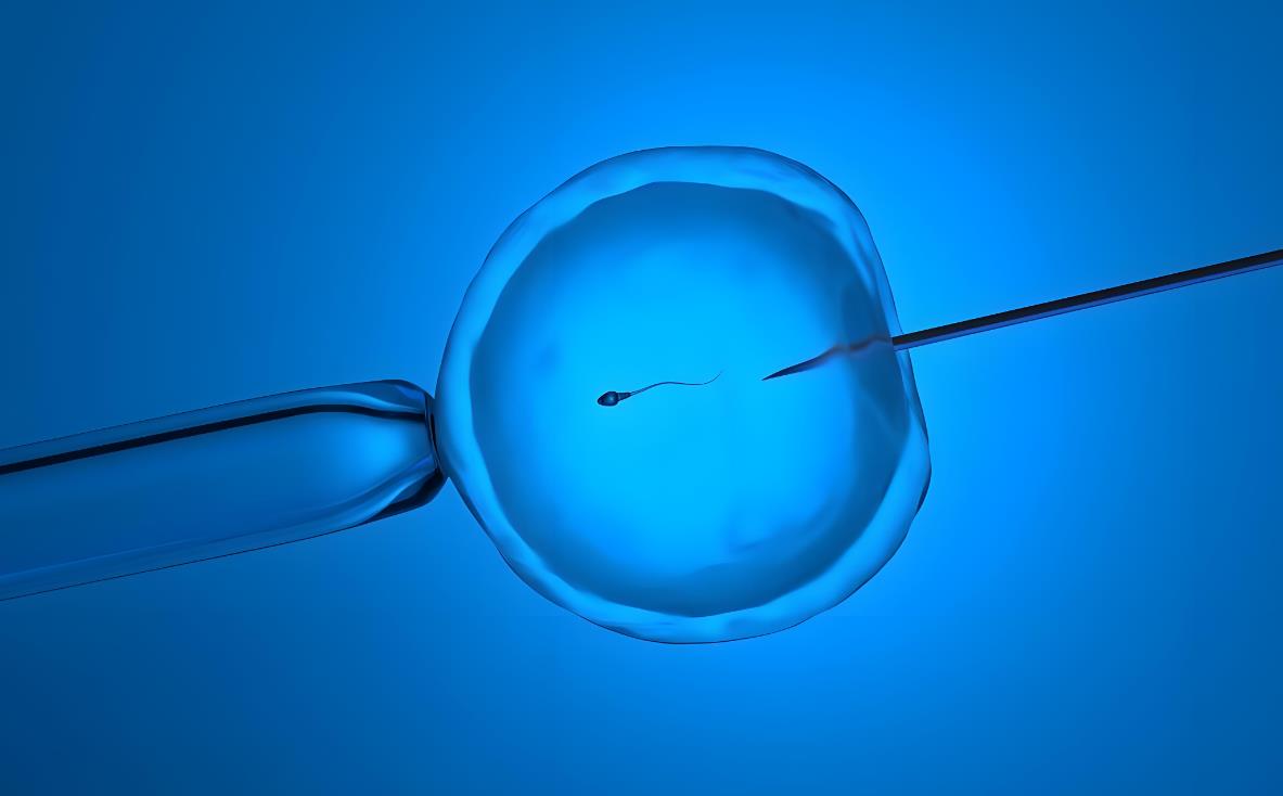 體外授精是試管嬰兒?jiǎn)?試管體外授精方法有哪些