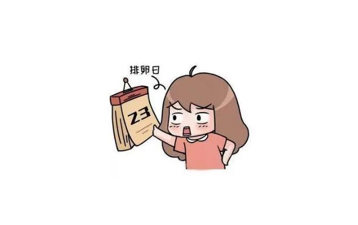 試管取卵后多久會(huì)來月經(jīng),會(huì)自然排卵