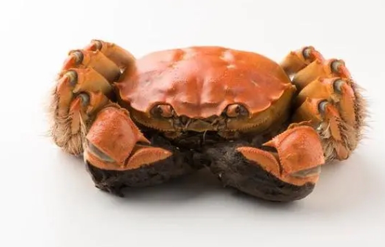 孕早期吃啥容易流產(chǎn)？孕初期容易導(dǎo)致流產(chǎn)的食物