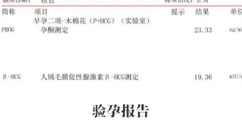 驗(yàn)孕報(bào)告