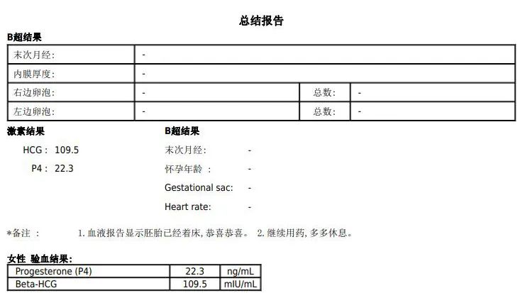 總結(jié)報(bào)告