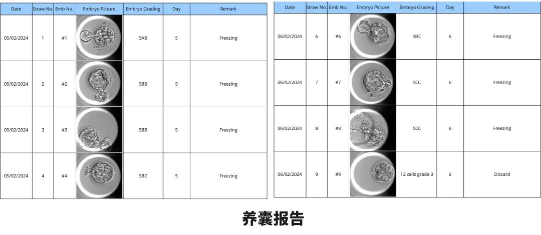 養(yǎng)囊報(bào)告