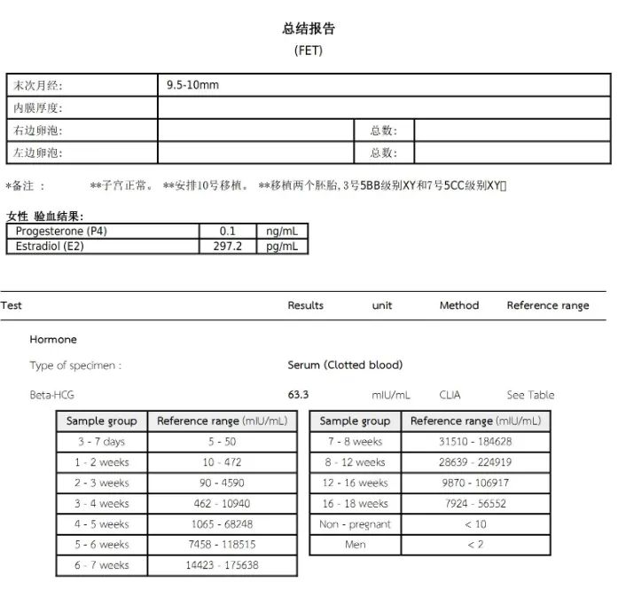 總結(jié)報(bào)告