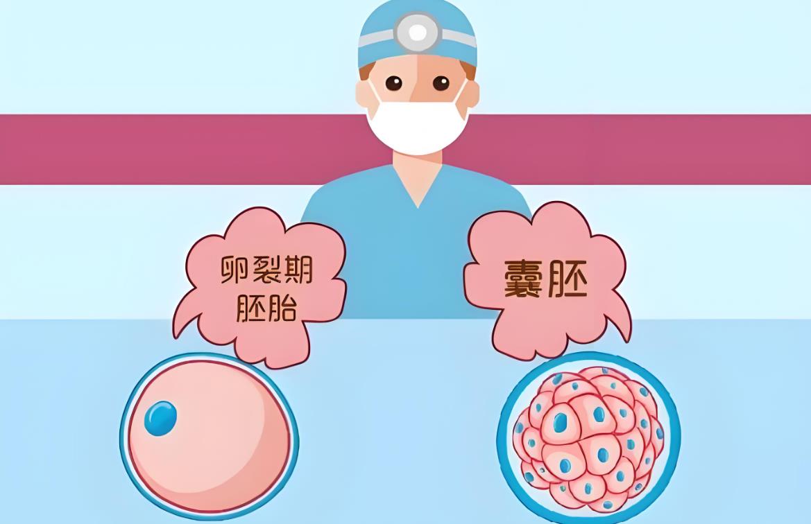 養(yǎng)囊