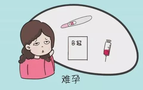 久備不孕怎么提高懷孕幾率？專家策略與生活方式調(diào)整