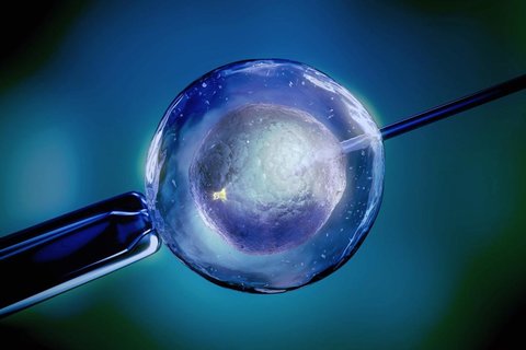試管嬰兒費(fèi)用是一次還是直到成功？費(fèi)用支付解析